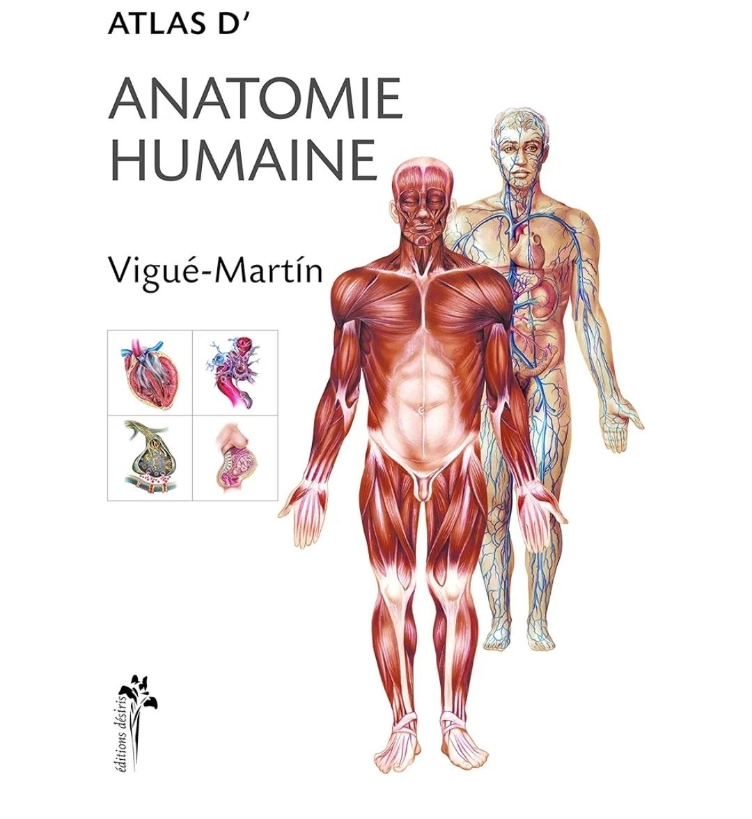 Atlas d'Anatomie Humaine — Vigué-Martín