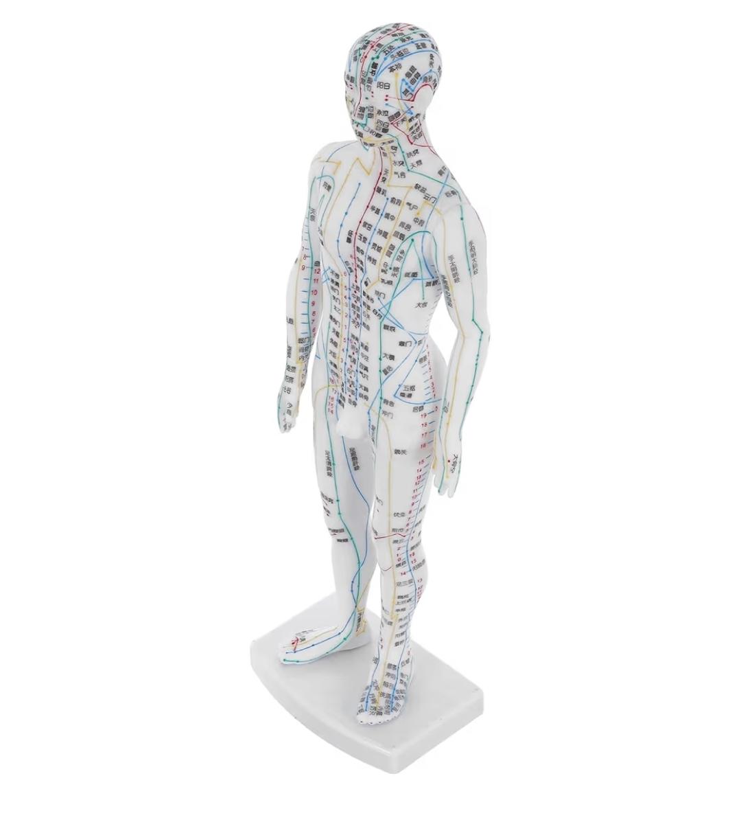 Mannequin des Méridiens — MTC